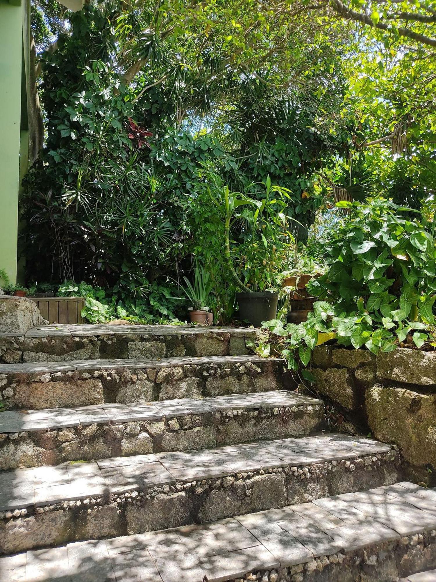 Samauma Floripa Aluguel De Quartos Florianópolis Εξωτερικό φωτογραφία